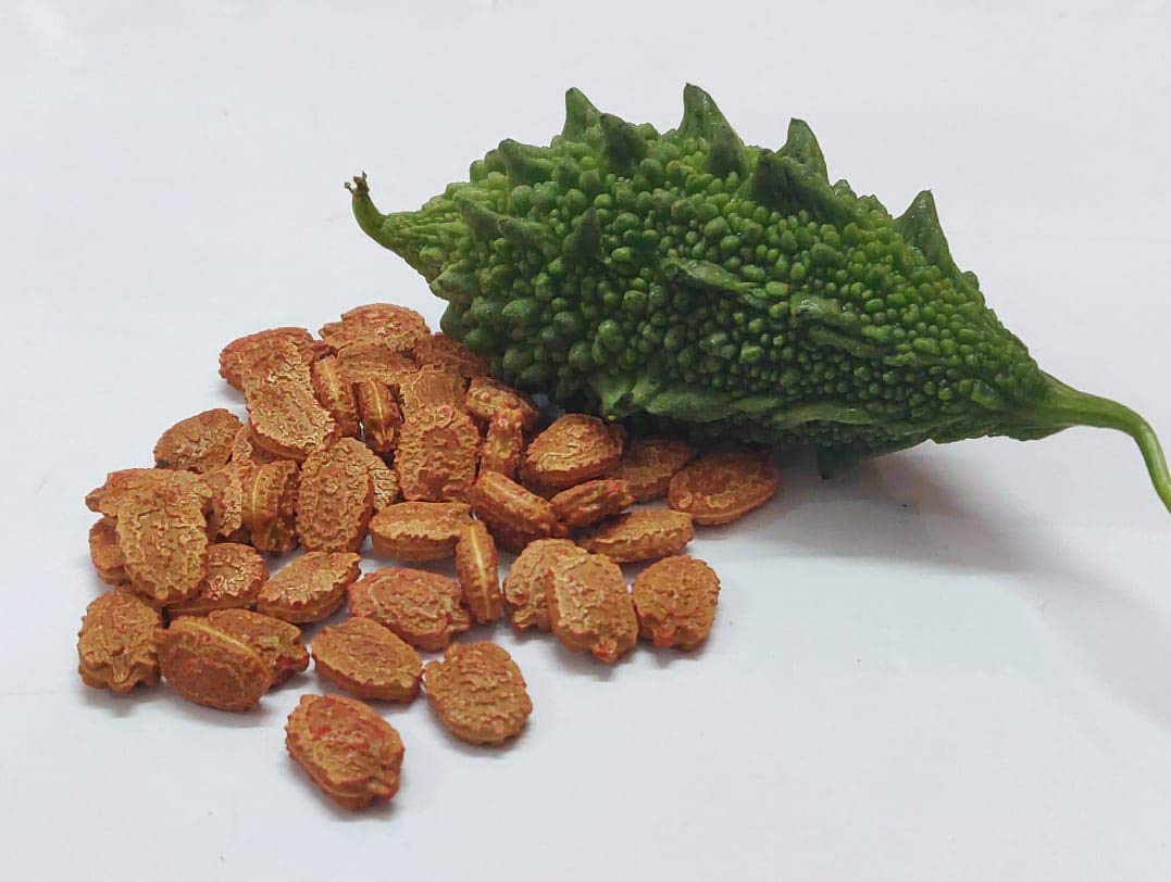 Shiviproducts Bitter Gourd (Karela) Seeds and Coriander (Dhania) Seeds