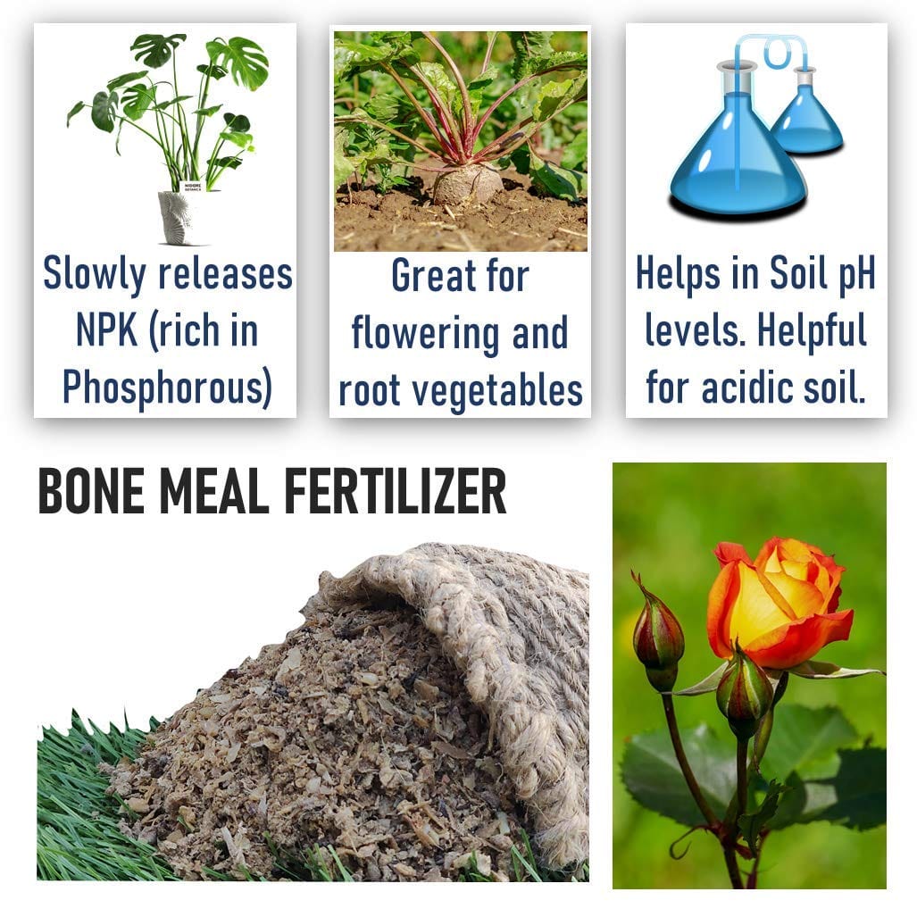 Shiviproducts Organic Bone Meal Fertilizer With Seeds (Spinach, Radish, Coriander, Methi)