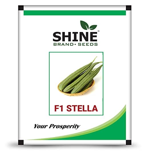 Shine Brand Seeds Stella F1 Hybrid Ridge Gourd Seeds