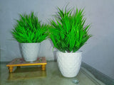 MG ART Artificial Potted Plants (Set of 2)