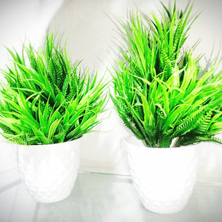 Artificial Potted Plants (Set of 2)