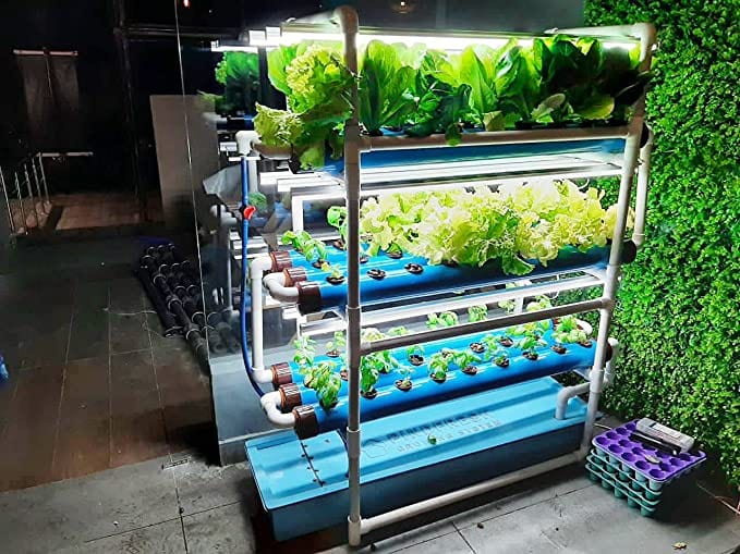 Pindfresh NFT Hydroponic Kit with Grow Ligths (For 81 Leafy Greens)