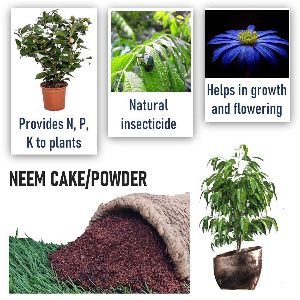 Shiviproducts Neem Khali Cake (Organic)