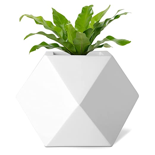 LLOKA Luxurious Fiberglass Table Top Planters Prana_GeoE_01 (7 inches)