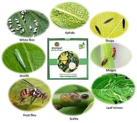 Byotrap Biodegradable/ Compostable Sticky Trap with ties for Home & Gardens, Flowers & Vegetable gardens, Terrace garden, Indoor Plants to control Aphids, Whiteflies, Mites, Thrips, Leaf hoppers (Pack of 10)