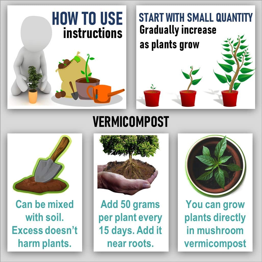 Shiviproducts Organic Soil Medium Vermicompost (Earthworm Castings)