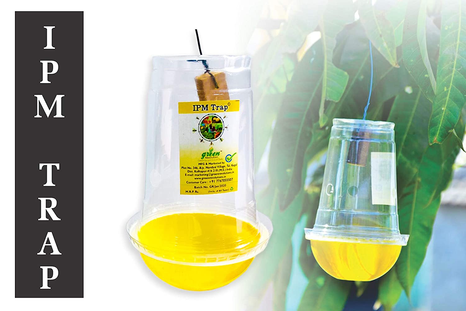 Green Revolution IPM Pheromone Trap (Yellow)