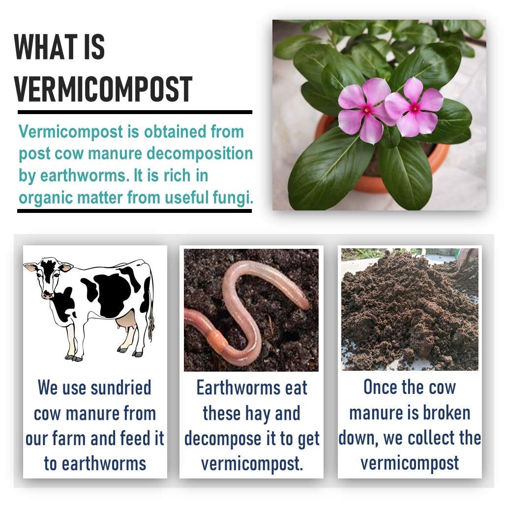 Shiviproducts Organic Soil Medium Vermicompost (Earthworm Castings)