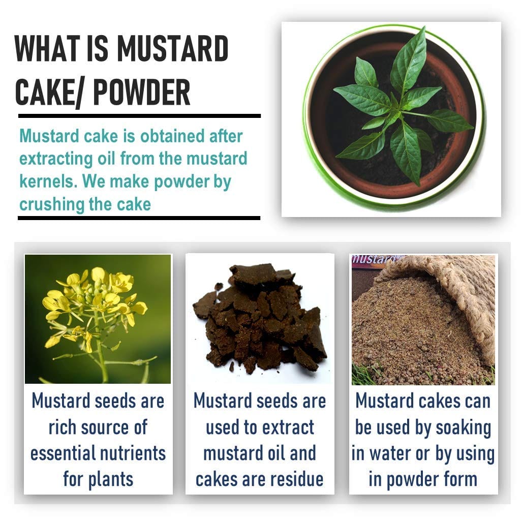 Shiviproducts Mustard Cake Powder and Cocopeat Block