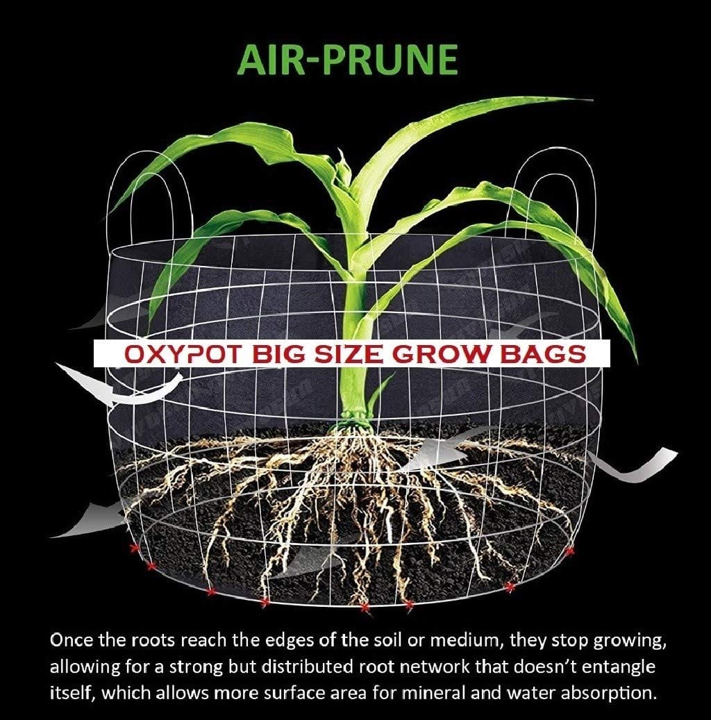 Oxypot Geo Fabric Grow Bags- 20 Gallons,20 x 16 Inches