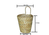 The Weaver's Nest Handcrafted Natural Wall mounted Cane Planter With Hook To Hang (10 x 15, D-15 cm)