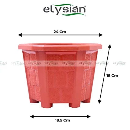 Elysian Hexagonal Plastic Planter with Drainage Hole