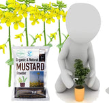 Shiviproducts Organic Mustard Cake Powder