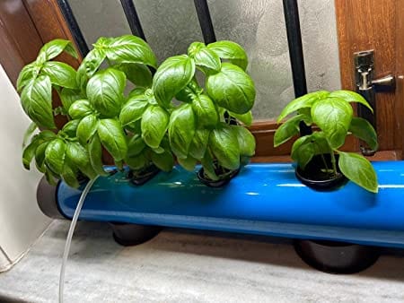 Buy Pindfresh Hydroponic Kit For Home (seeds Included) At Best Price In 