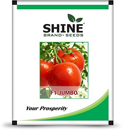 Shine Brand Seeds Jumbo F1 Hybrid Tomato Seeds (10 Grams)