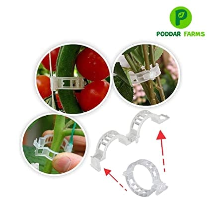 PODDAR FARMS Plant Support Clips (23 MM)
