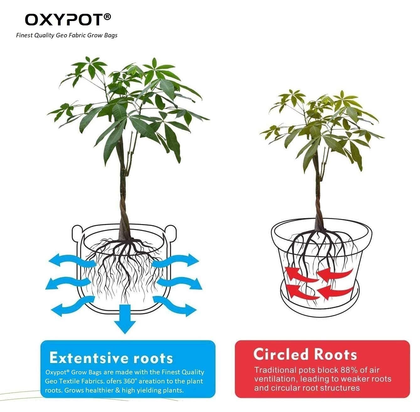 Oxypot Breathable Fabric Grow Bags, 12x12x10 Inches- Pack of 5