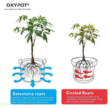 Oxypot Thin Grow Bags (8 x 8 Inches)- Pack of 10