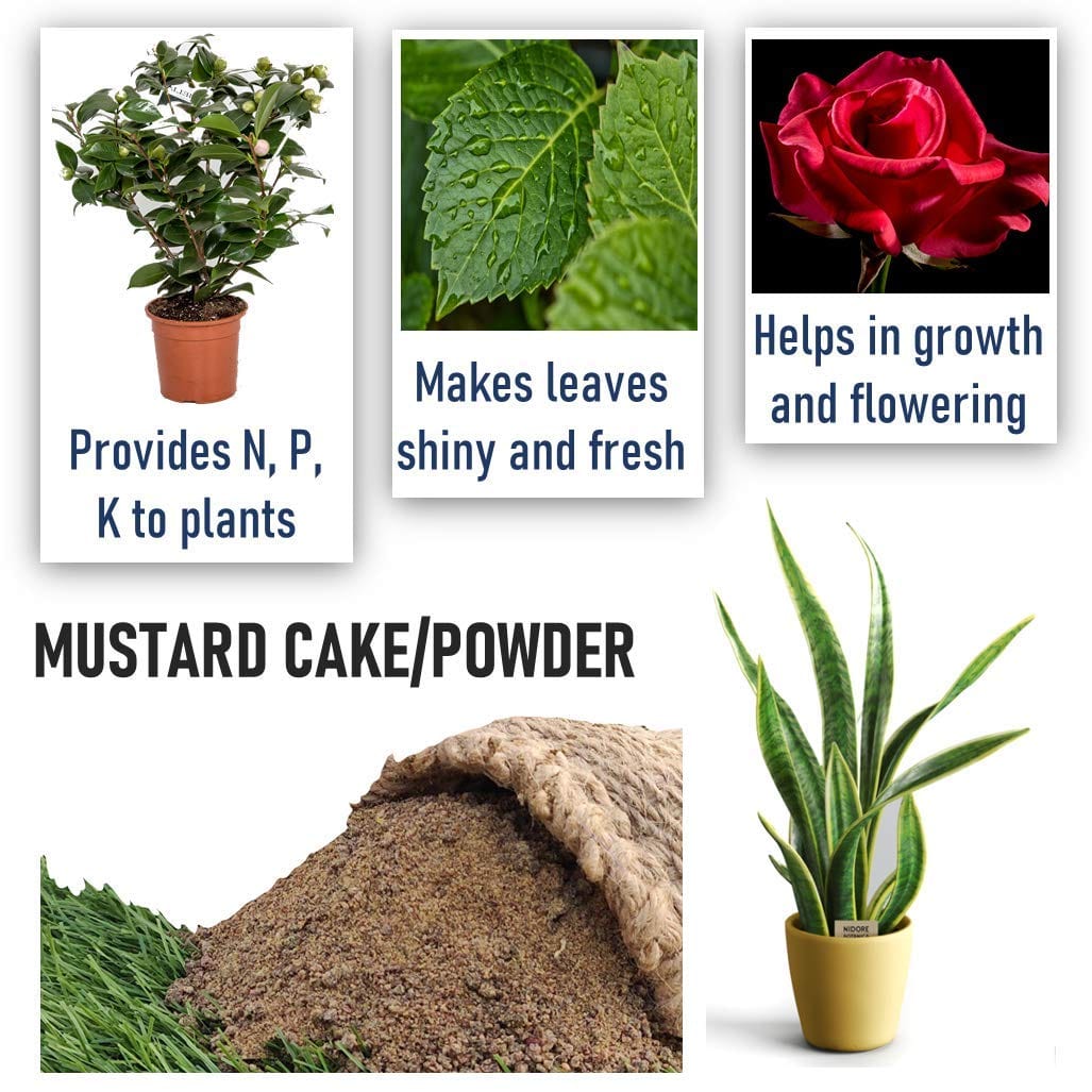 Shiviproducts Mustard Cake Powder and Cocopeat Block