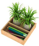 Lycka Wooden Planter Tray (8 Inches)