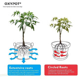 Oxypot 350 GSM Grow Bag Hanging Planter (6x7.5 Inches, Red)