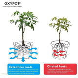 Oxypot 350 GSM Geo Fabric Grow Bags (5 Gallons)- Pack of 5