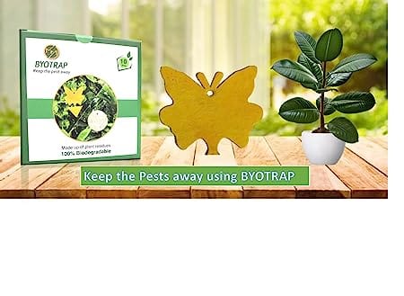 Byotrap Biodegradable/ Compostable Sticky Trap with ties for Home & Gardens, Flowers & Vegetable gardens, Terrace garden, Indoor Plants to control Aphids, Whiteflies, Mites, Thrips, Leaf hoppers (Pack of 10)