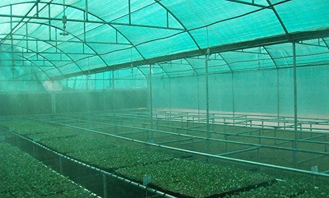 Elysian Green House Agro Shade Net for Ornamental Plants (5x20 feet)