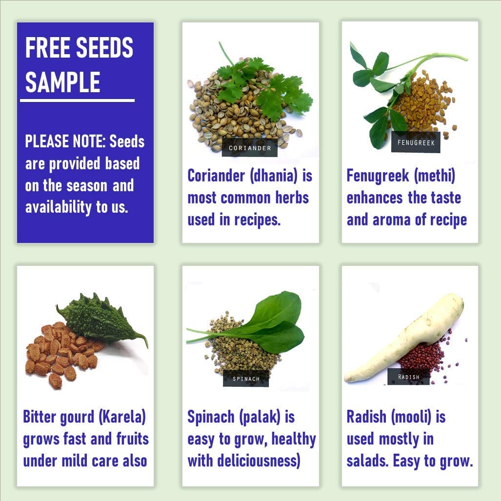 Shiviproducts Cocopeat With Seasonal Seeds (Coriander, Radish, Spinach)