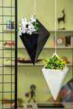 LLOKA Luxurious Fiberglass Hanging Pots & Planters - Akasa_Str_01