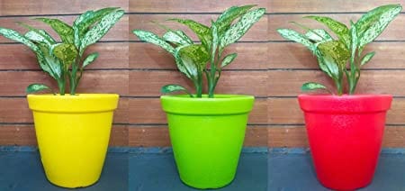 VGreen Plastic Planter Round Pots (Set of 3)