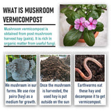 Shiviproducts Mushroom Vermicompost