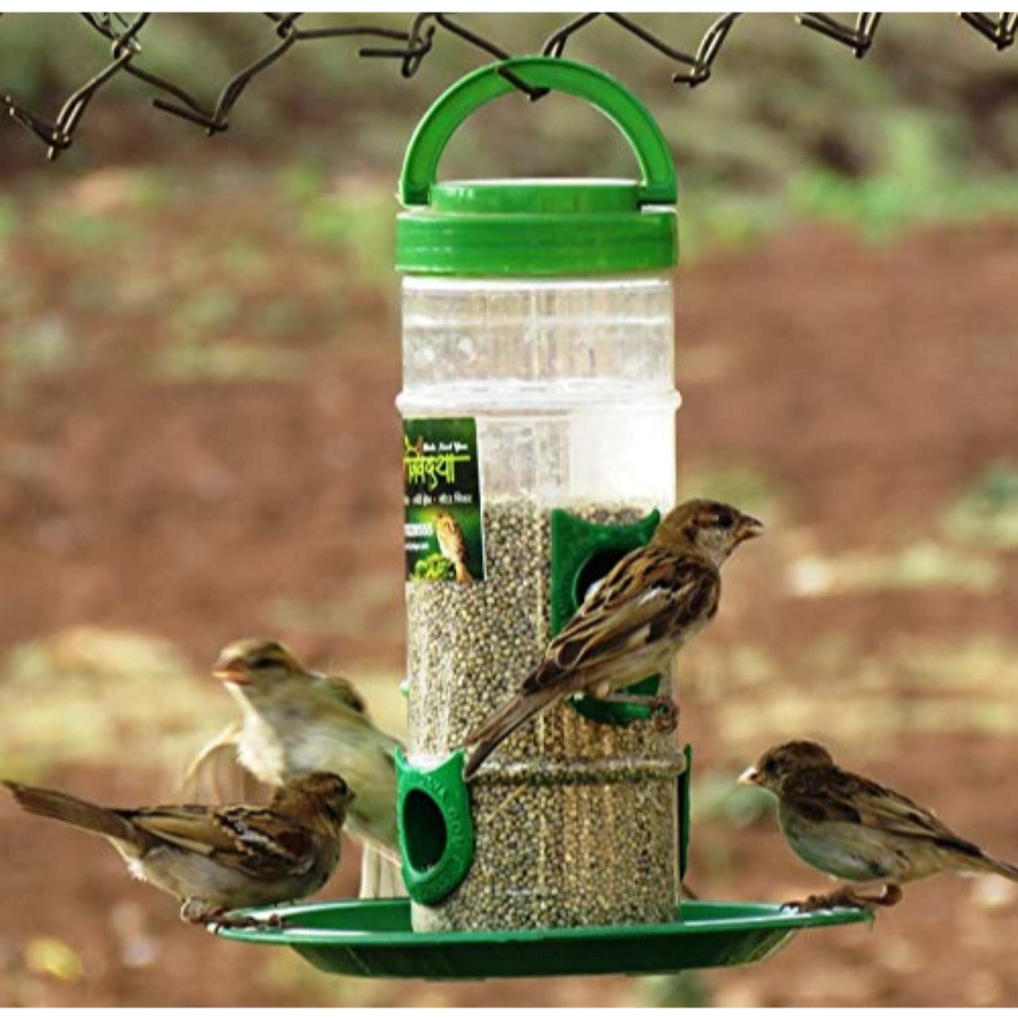 Amijivdaya Bird Food and Water Feeder Combo (Small, Green)