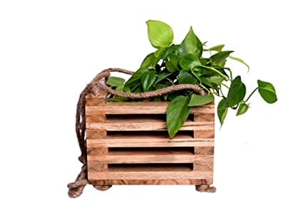 The Weaver's Nest Decorative Wooden Hanging Planter (23 X 23 X 77 cm)