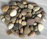 StoneStories Mixed Sized Pebbles (15 Kgs)