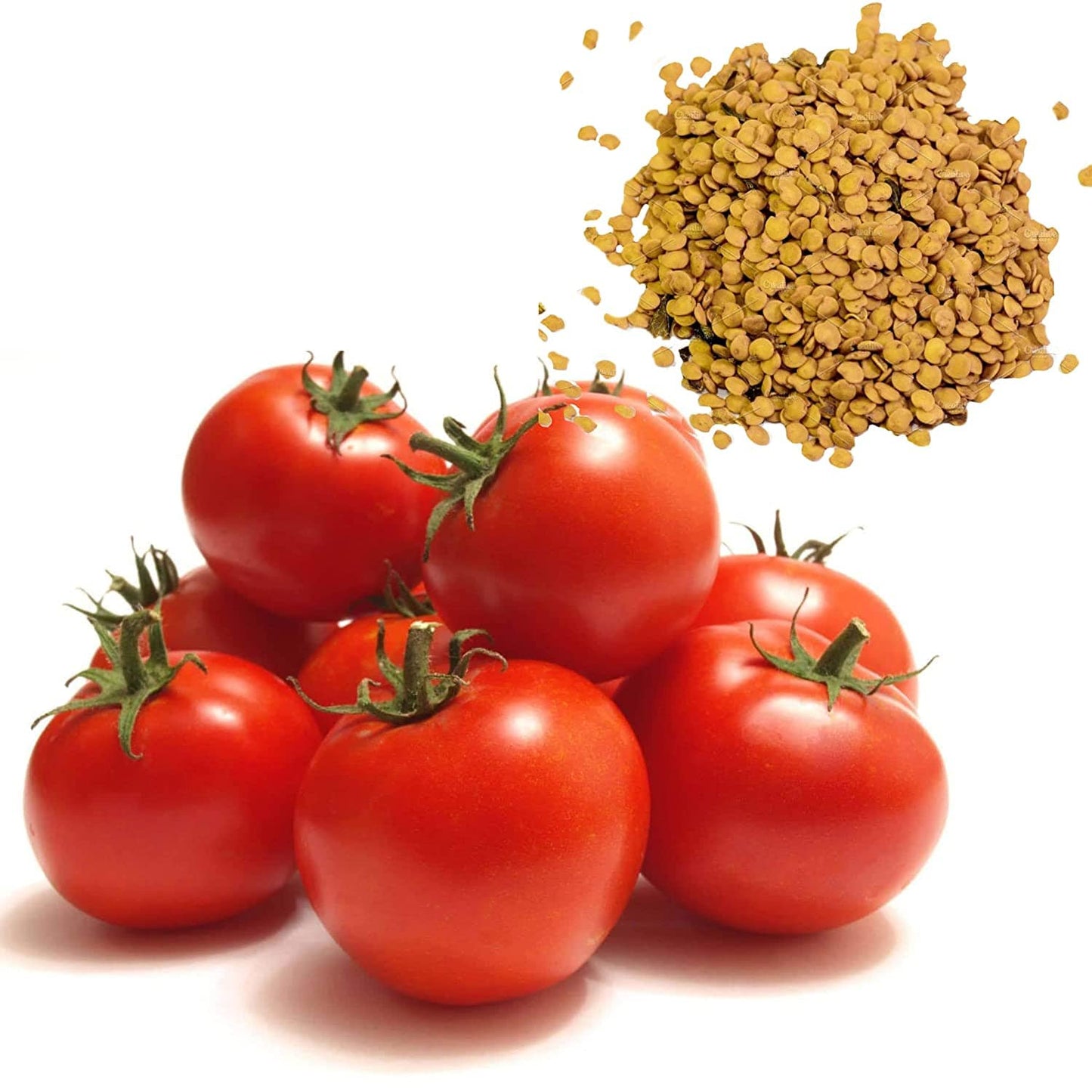 Shiviproducts Tomatoes and Bringal Seeds