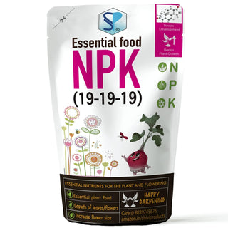 NPK 19 19 19 Fertilizers For Plants