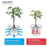 Oxypot 380 GSM Fabric Grow Bags (12x12 Inches)- Pack of 2