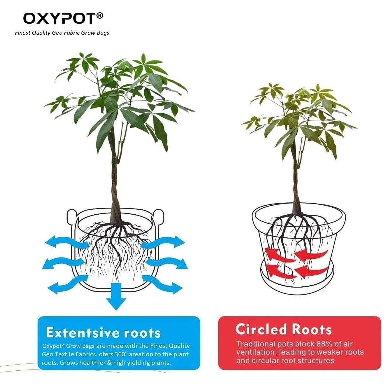 Oxypot Air Pruning Geo Fabric Grow Bag (16 X 16 X 6 Inches)- Pack of 3