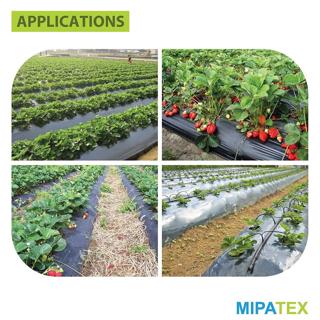 Mipatex Mulch Film (20 Micron UV, Black)