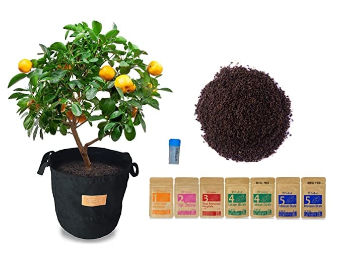 Pindfresh Soilless Gardening Grow Bag Combo 2 (Growbag, Growmix, Seeds and Nutrients)