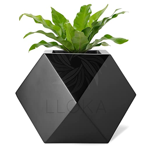 LLOKA Table Top Pots & Planters Combo GeoE_01 (Large in White & Small in Black)