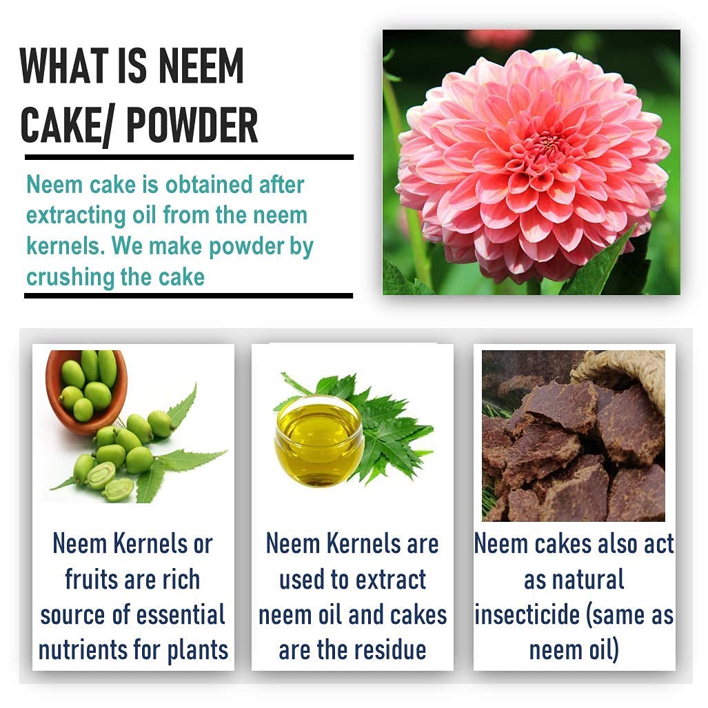 Shiviproducts Neem Khali Cake (Organic)