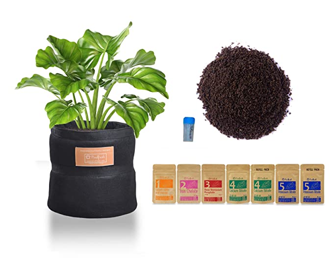 Pindfresh Soilless Gardening Grow Bag Combo 1 (Growbag, Growmix, Seeds and Nutrients)