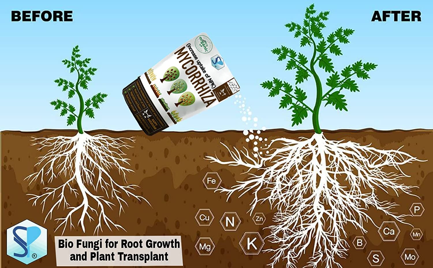 Shiviproducts Mycorrhiza VAM Bio Fungi For Root Growth And Plant Transplant