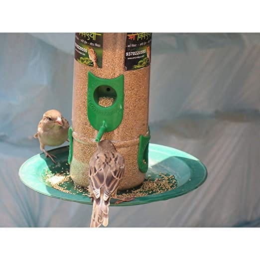 Amijivdaya Bird Food Feeder With Handle (Medium)