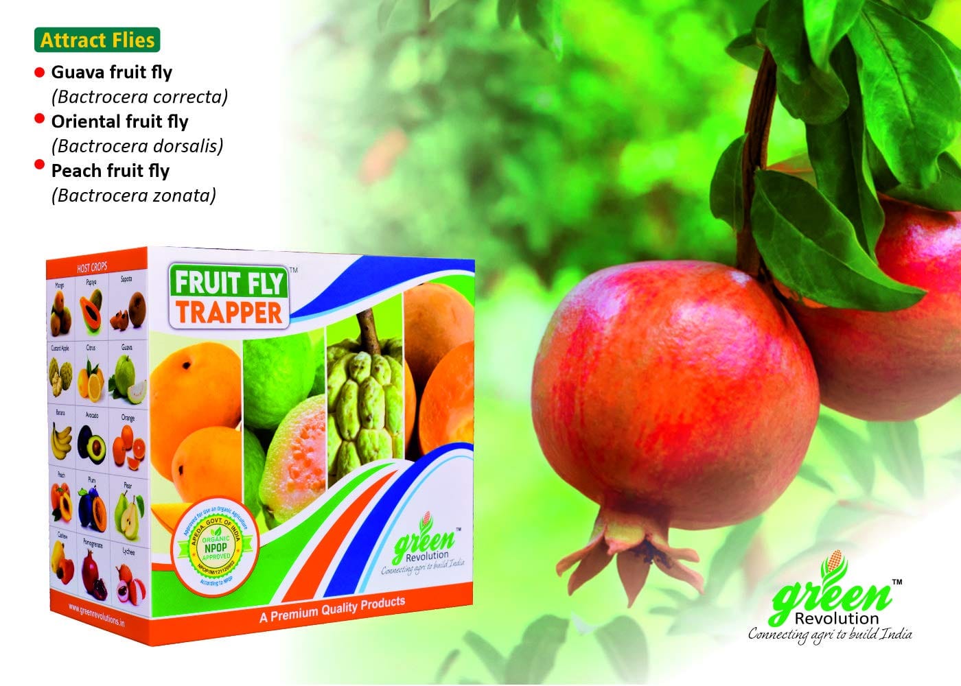 Green Revolution Fruit Fly Pheromone Trap (Pack of 10)