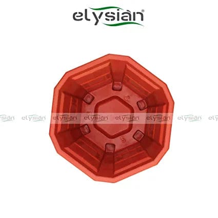 Elysian Hexagonal Plastic Planter with Drainage Hole