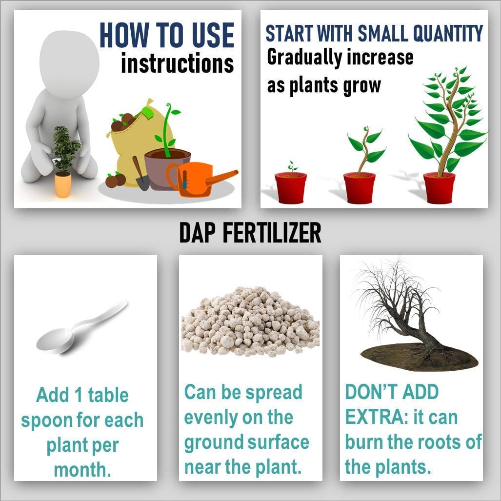 Shiviproducts DAP Fertilizer And Potash Fertilizer (MOP)