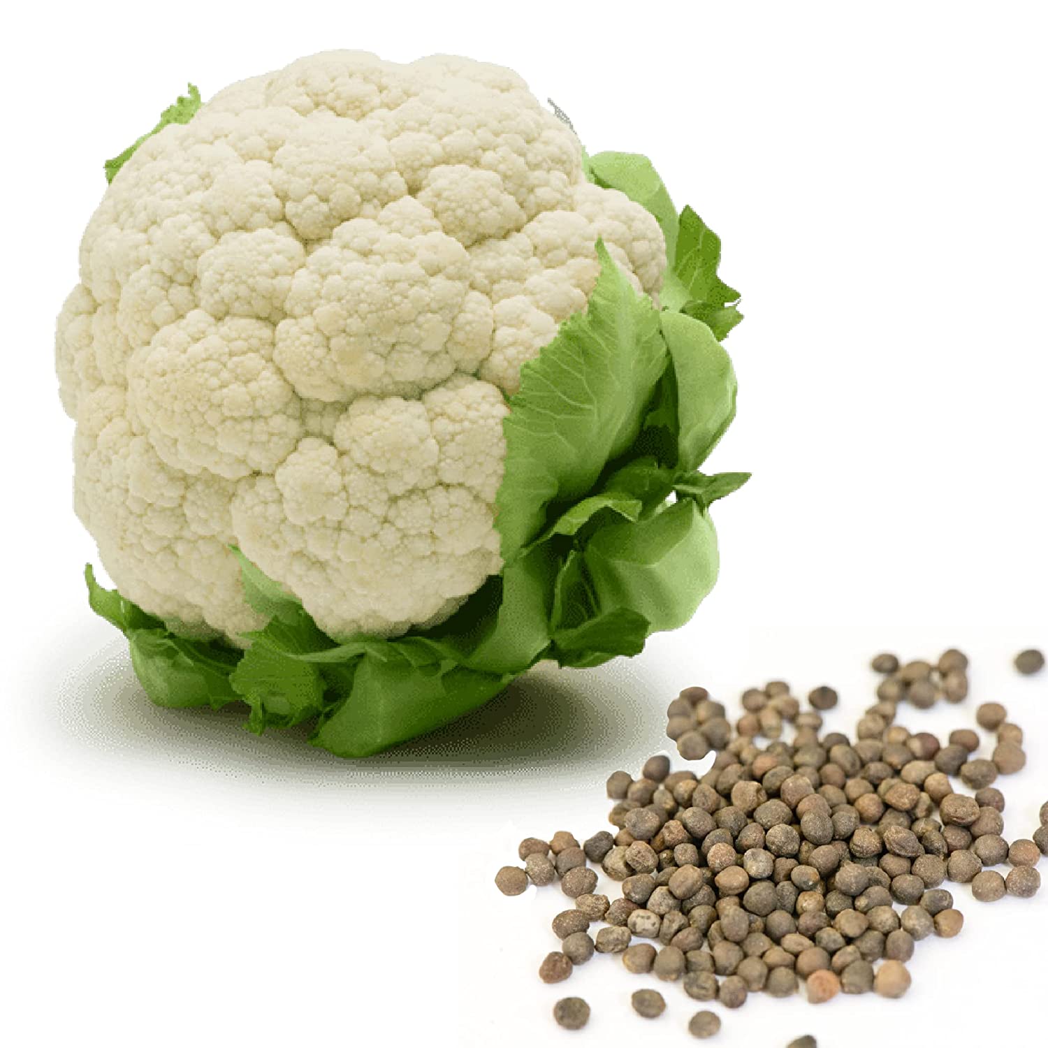 Shiviproducts Cauliflower, Cabbage and Turnips Seeds Combo